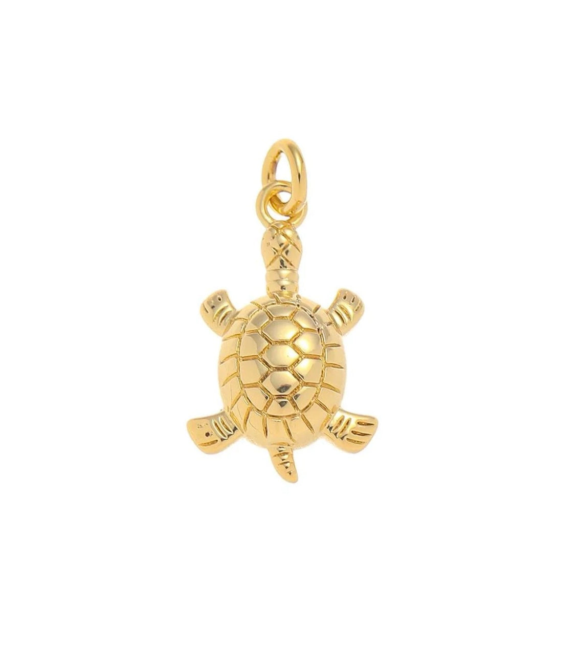 Turtle Charm